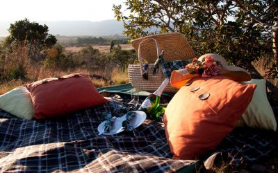 Bush Breakfast – Brunch Picnic at Basil’s Boma