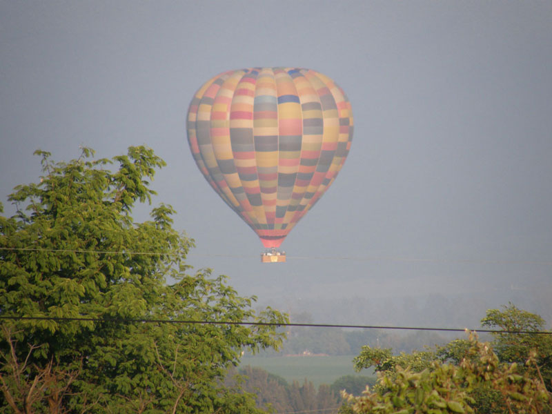 Accommodation & Balloon Safari Special